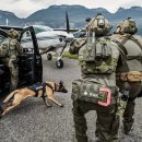 IFAK Medic Schnellzugriff Set Tactical Response Concepts